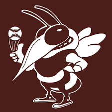 Vereinslogo von Baseballclub Rüsselsheim/ Nauheim Moskitos